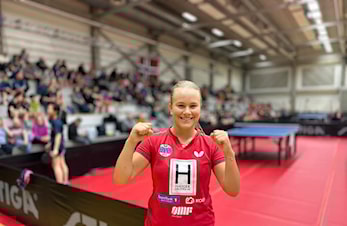 01.06: 3 x gull + bronse!