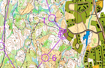 Raumarkarusell i Åsgreina