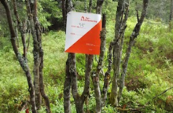 OPPSTART POSTFINNER