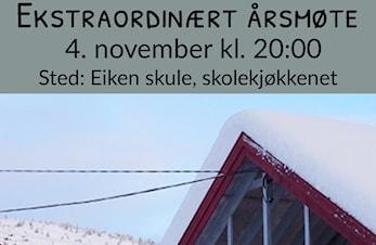 Ekstraordinært årsmøte