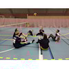 Sittevolleyball sesongen 19-20