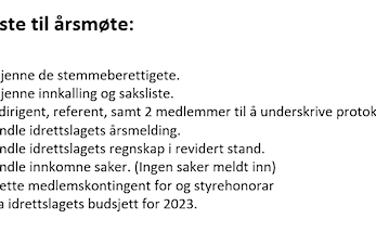 Årsmøte