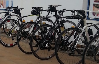 Colorlinetour 2024