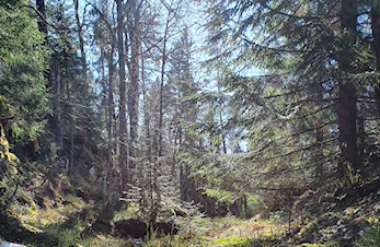 Fellestur mandag 06.05.24