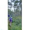 Naturlos - Frå Smedsland til Brandsdal