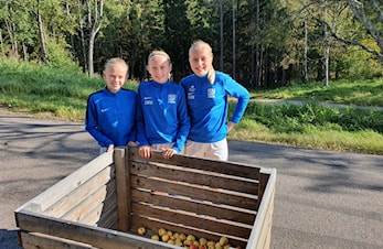 Har du en hage med epletrær hvor vi kan komme og plukke epler?