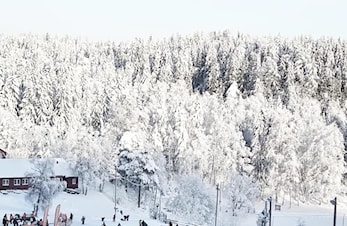 Kjelsås alpins åpen dag - januar 2023 ❄️