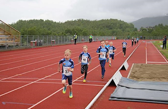 Innkalling til årsmøte - ny dato!