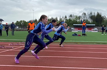 Narviklekene og Tyrvinglekene