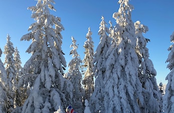 Mange gode Kjelsås resultater på Lygna i helgen, som toppet seg med Håvard blant de 6 beste i Norgeseliten!