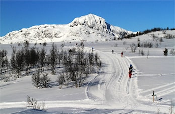 Velkommen til Kjelsås langrenn vinterferie Challenge 2023