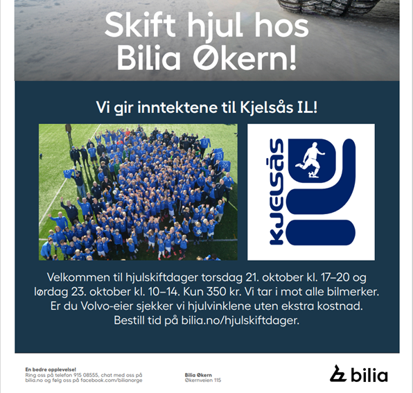 Årets enkleste dugnad! Skift til vinterdekk hos Bilia Økern.