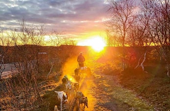 Høstsamling - Hodeskallekrysset