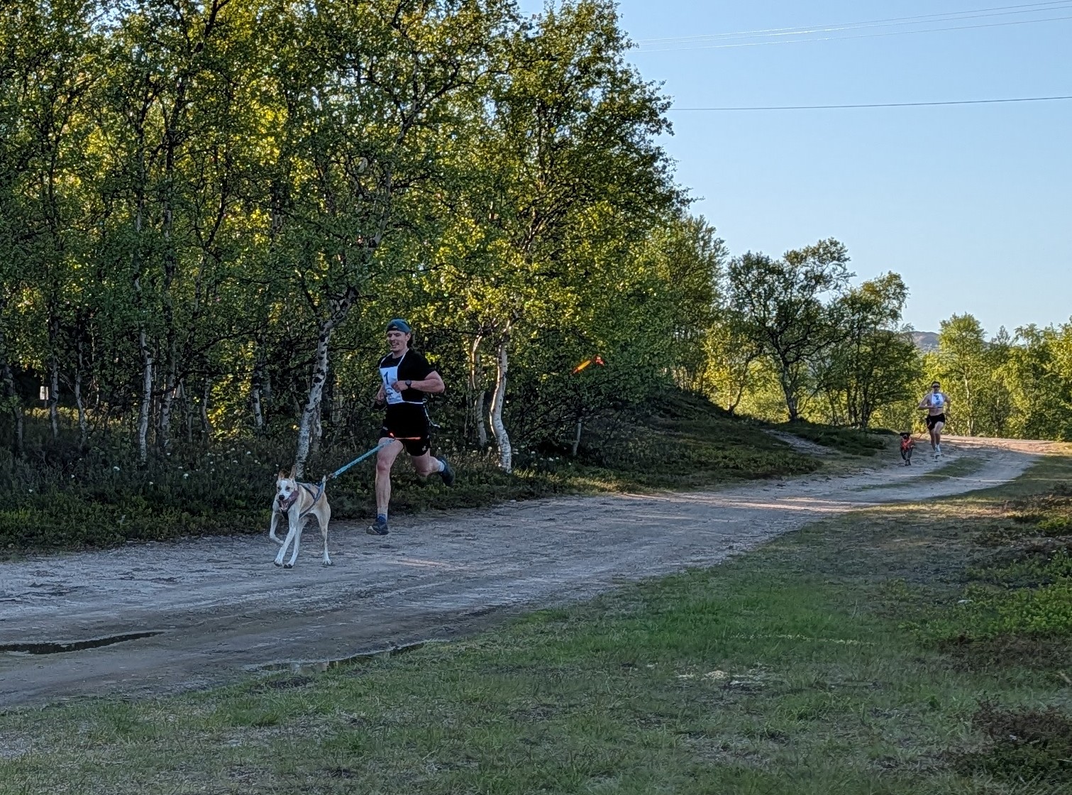 Image for Canicross Sandnes 10.juni