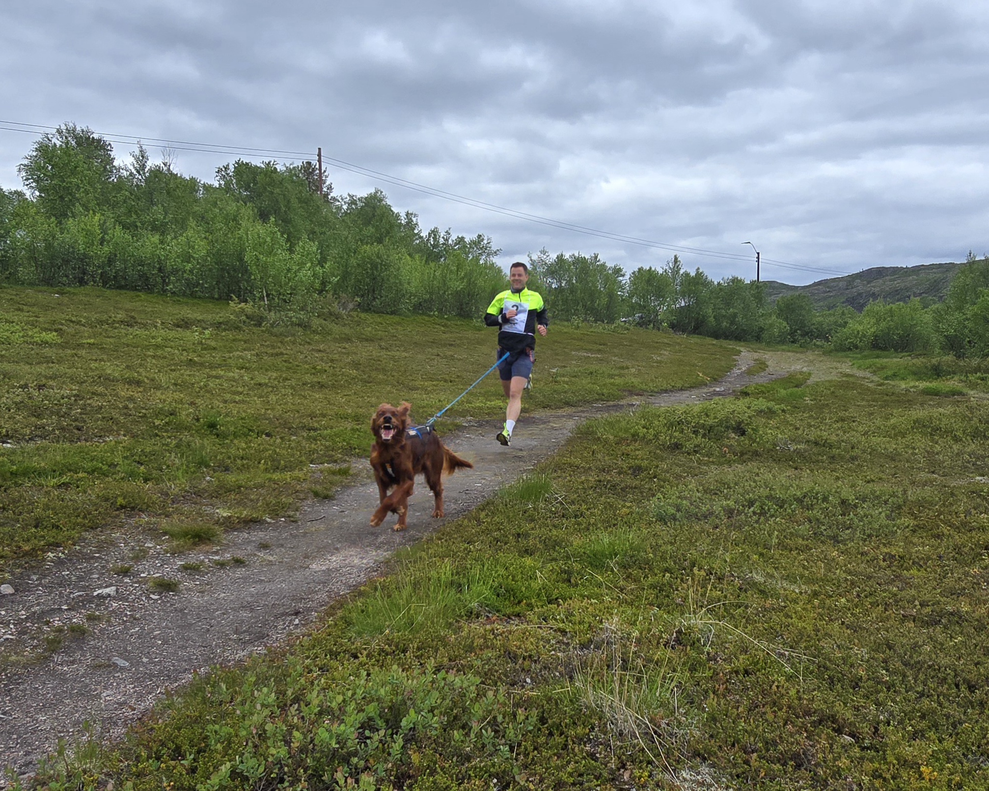 Image for Canicross Sandnes 18.juni
