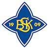 Årsmøter BSK