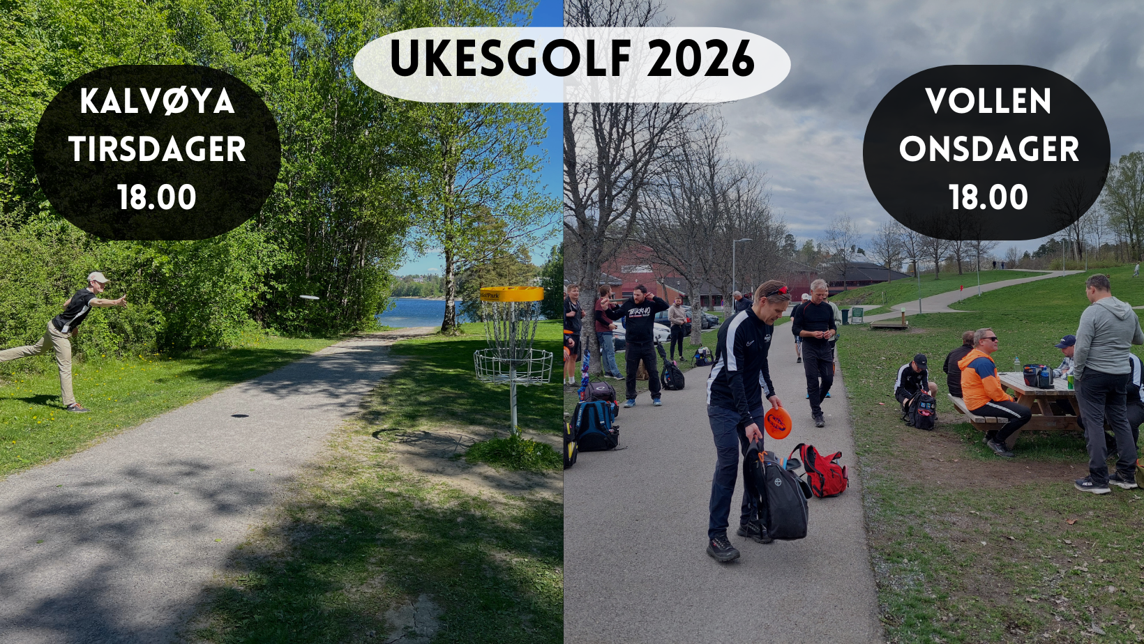 Ukesgolf 2026