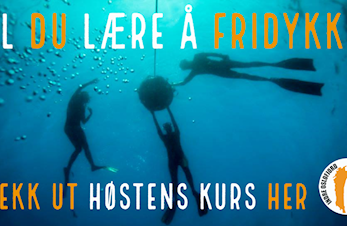 Her er høstens fridykkingskurs.