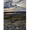 Vi beklager! Ingen milevis i Sør-Varanger i år