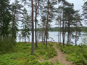 Image for Ukas Løype Brønnerødtjern Syd