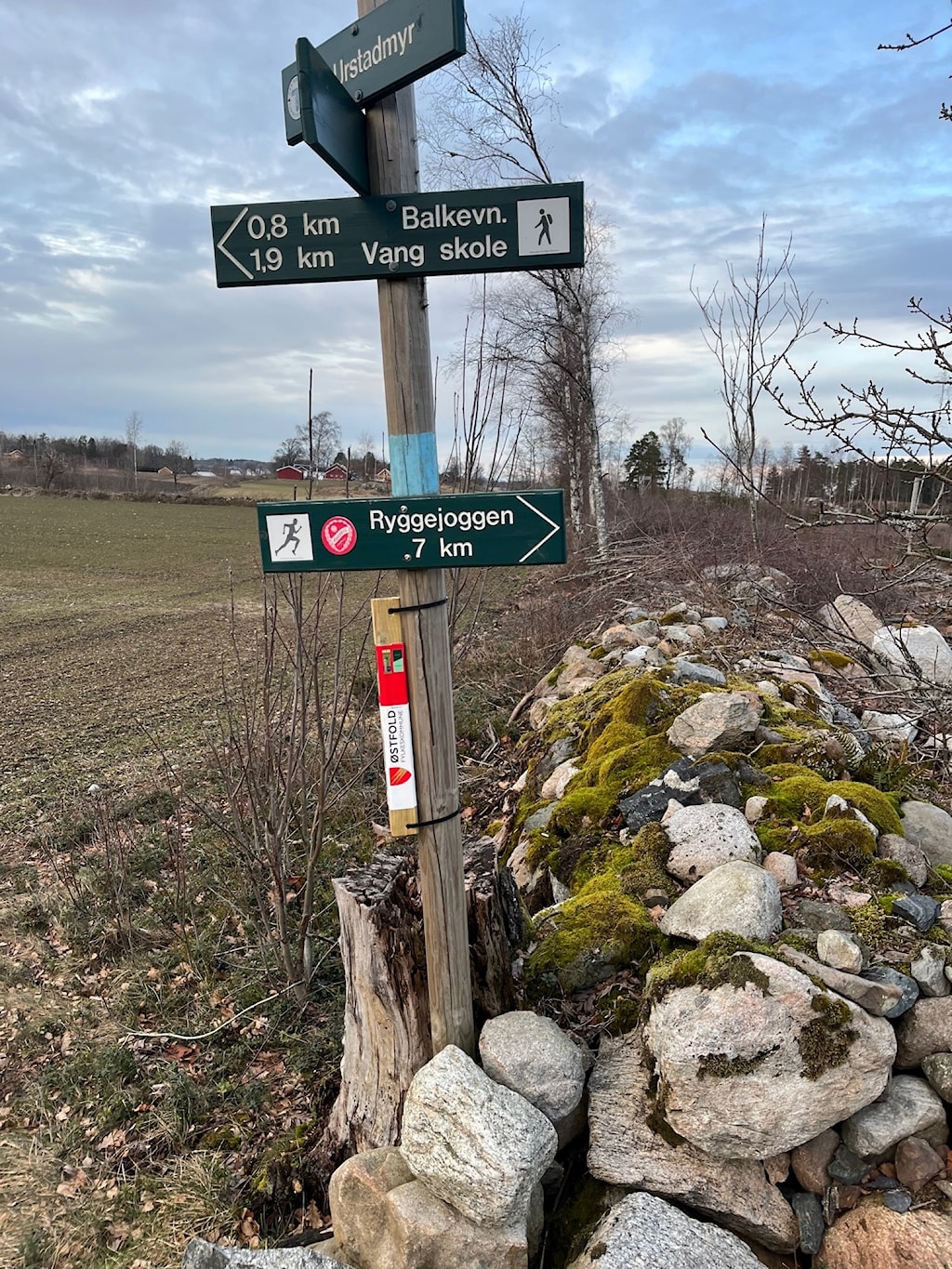 Image for Vil du hjelpe til med å ta inn fjorårets stolper?