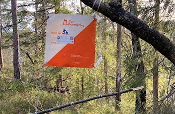 30 Tur-O poster på Ebbestadkollen er nå klare
