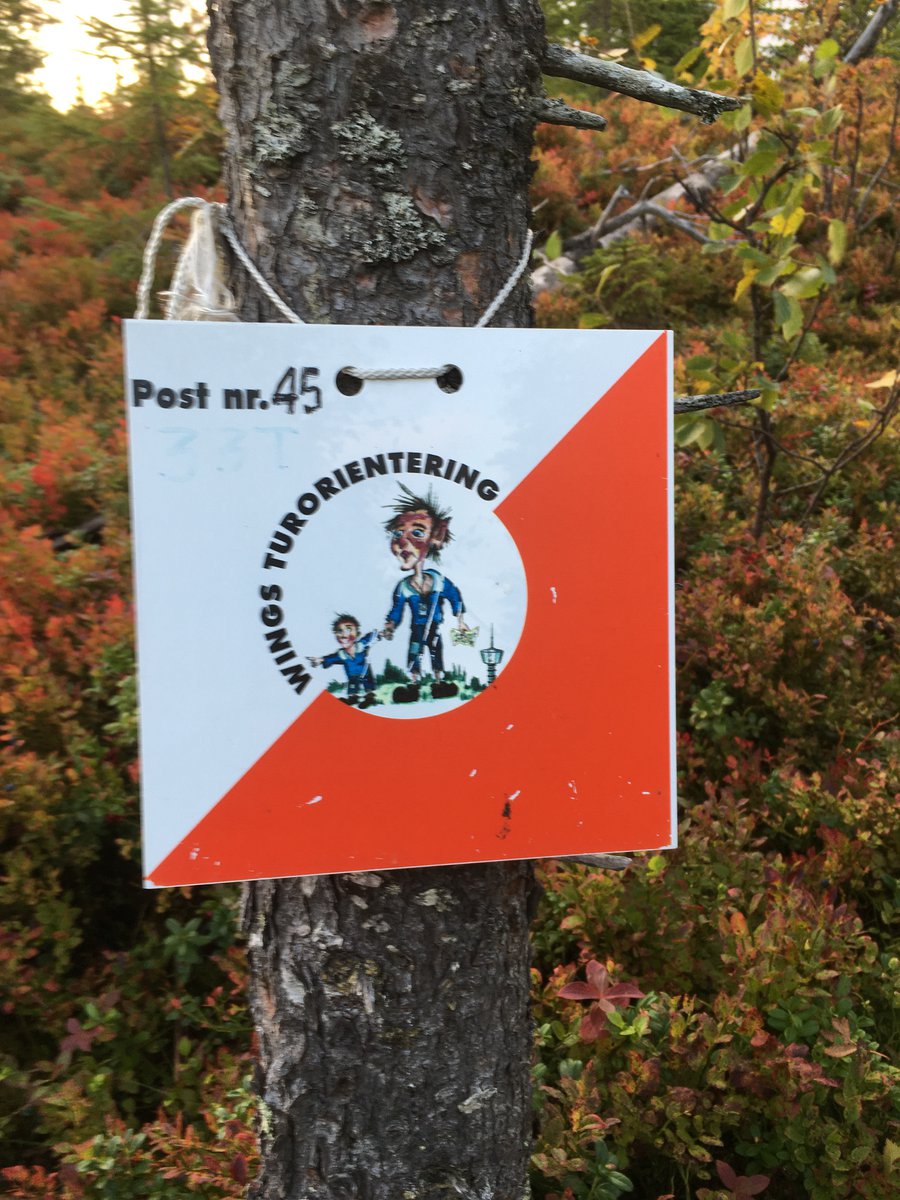 Postene på Vikåsen og Reppesåsen står nå ute