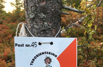 Postene på Vikåsen og Reppesåsen står nå ute
