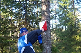 Alle postene til Ola Dilt er ute i skogen og venter på besøk av deg.