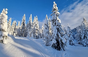 Nå kan du krysse Grønland på ski!