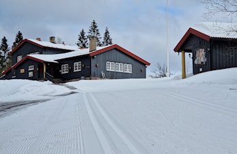 Kjøp og løp! (eller gå hvis du vil)