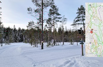 Beste påsken i marka på mange år!