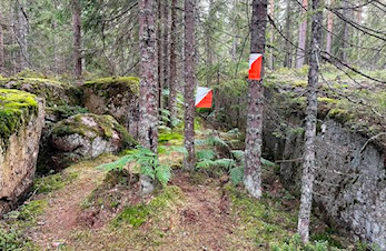 Kjekstadmarka