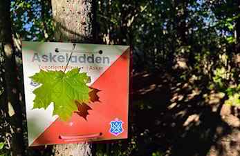 Turen på Båstad