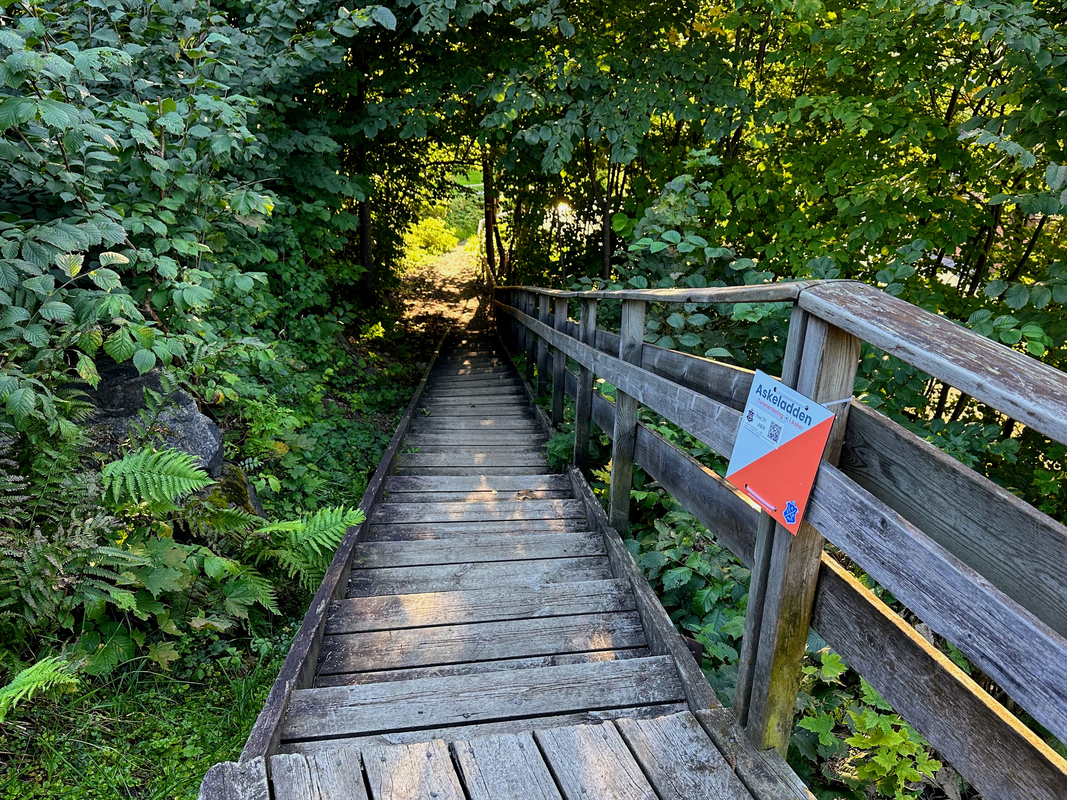 Høstjakta er i gang i Asker