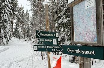 Vinterposter i Modum, Buskerud