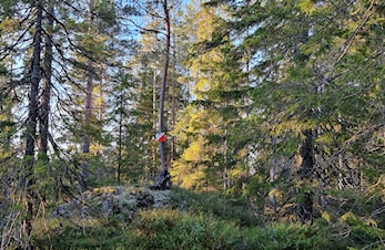 Skogtrim 2024 er i gang!
