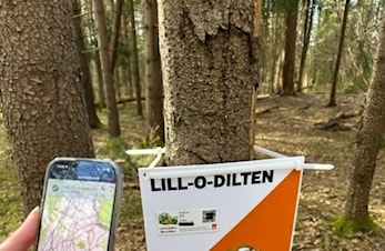 Vårens vakreste eventyr - jakt 13 gratis poster på BYGDØY i Oslo!