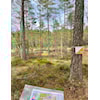 Postene på kartet Bjønndalen er ute i skogen