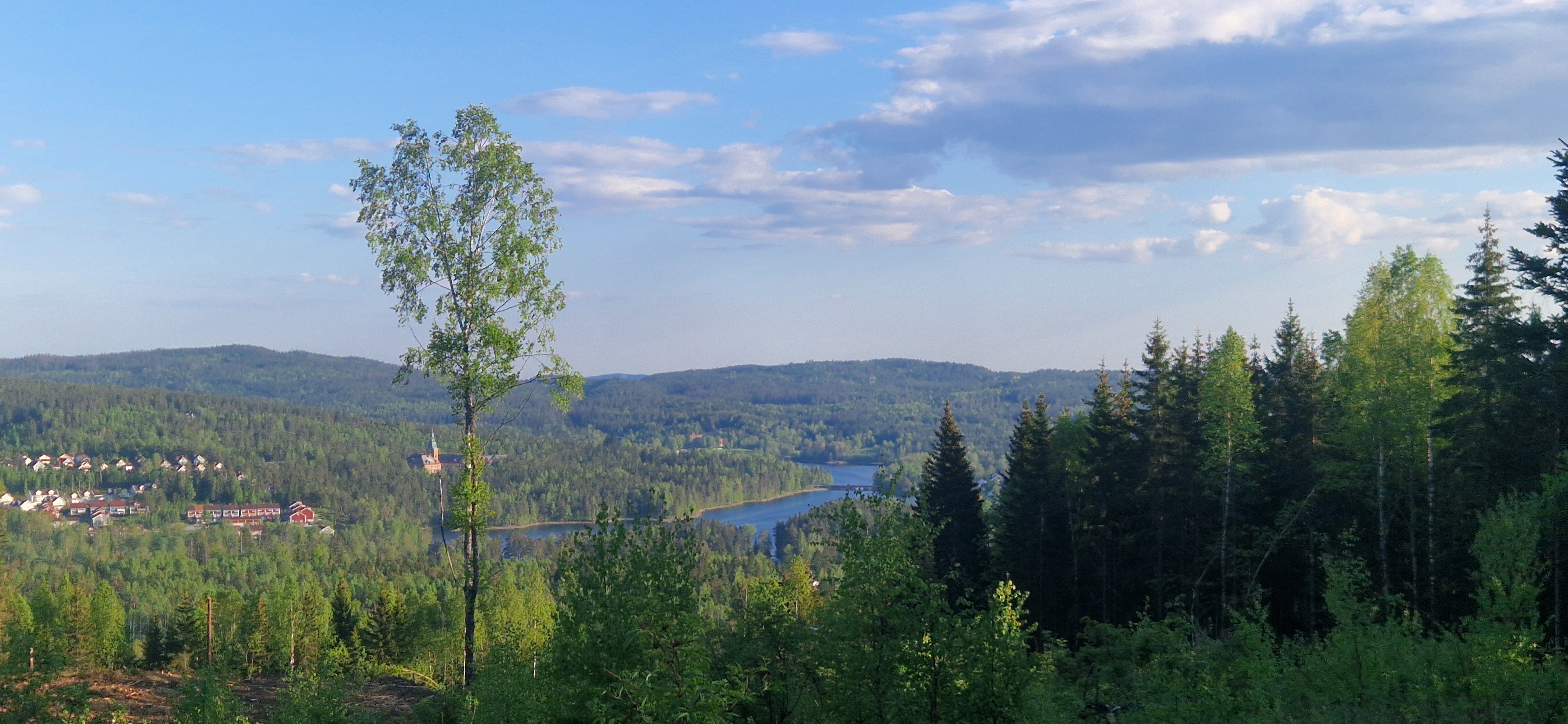 Hogst på Høgås, post 147 settes ikke ut enda!