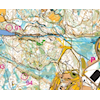 Leirsjøen åpnet 8.mai.