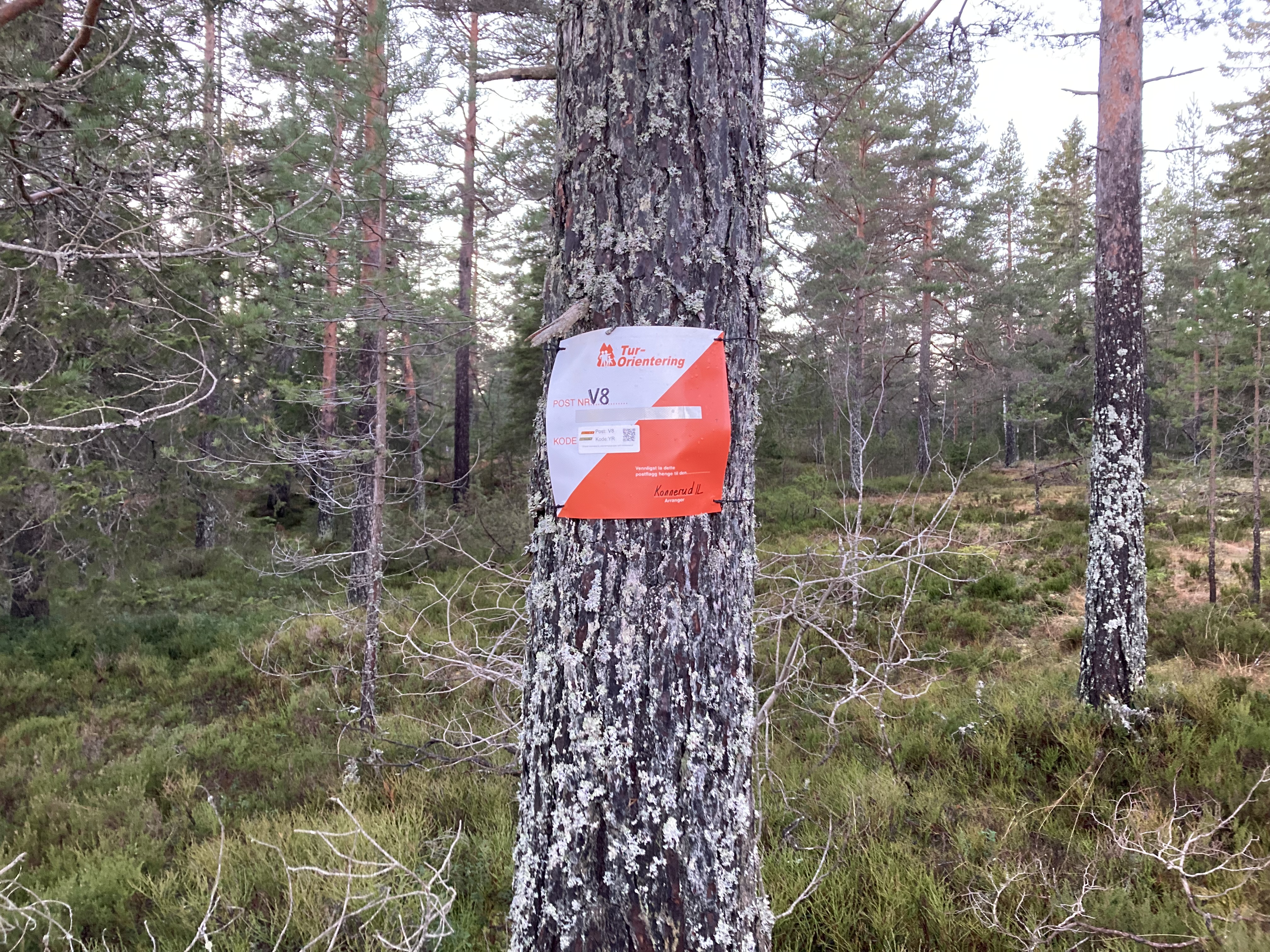 Testmelding 30.1., kl 1616