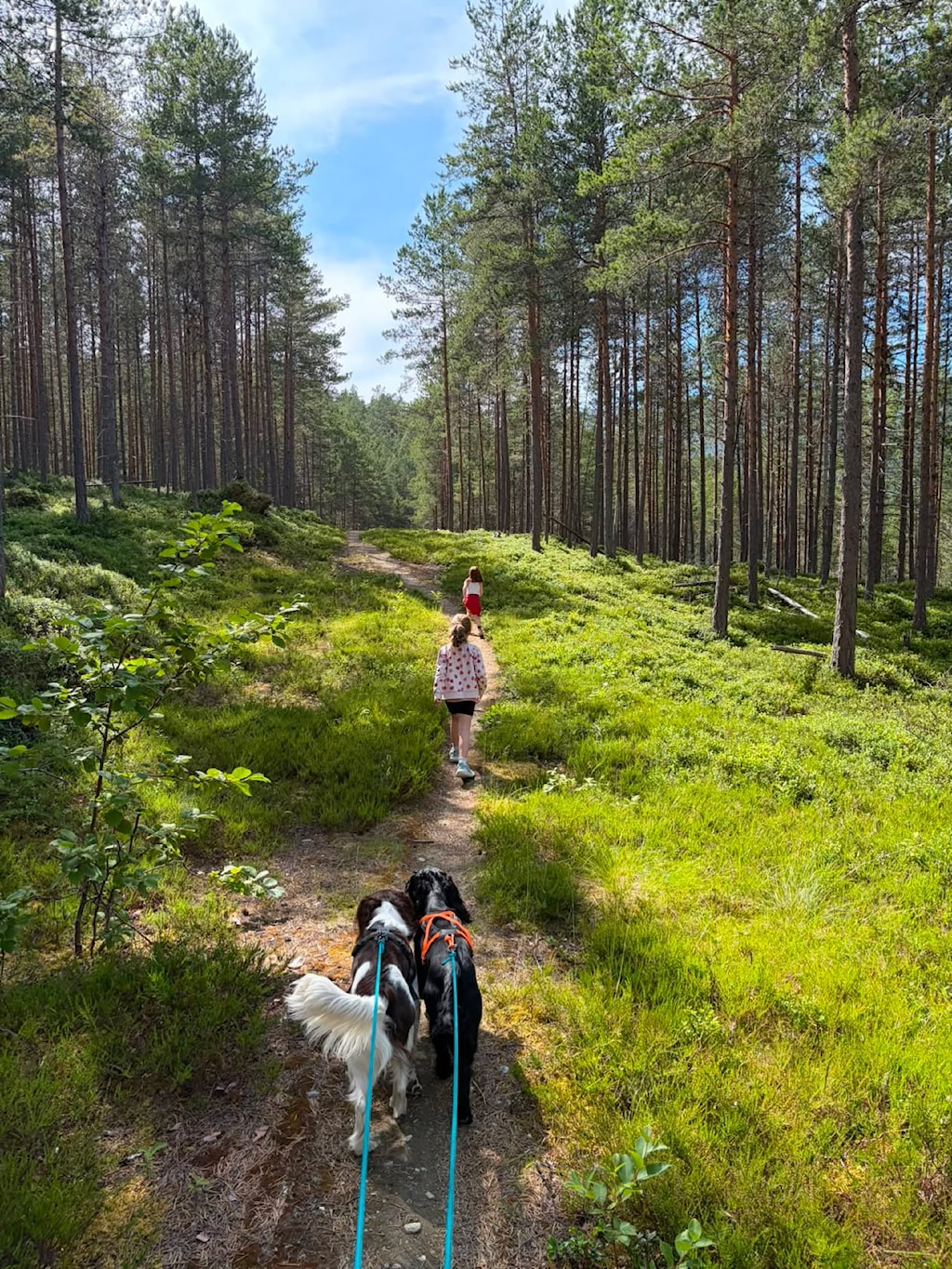 Sommerens Foto-kampanje - vinner for juli!