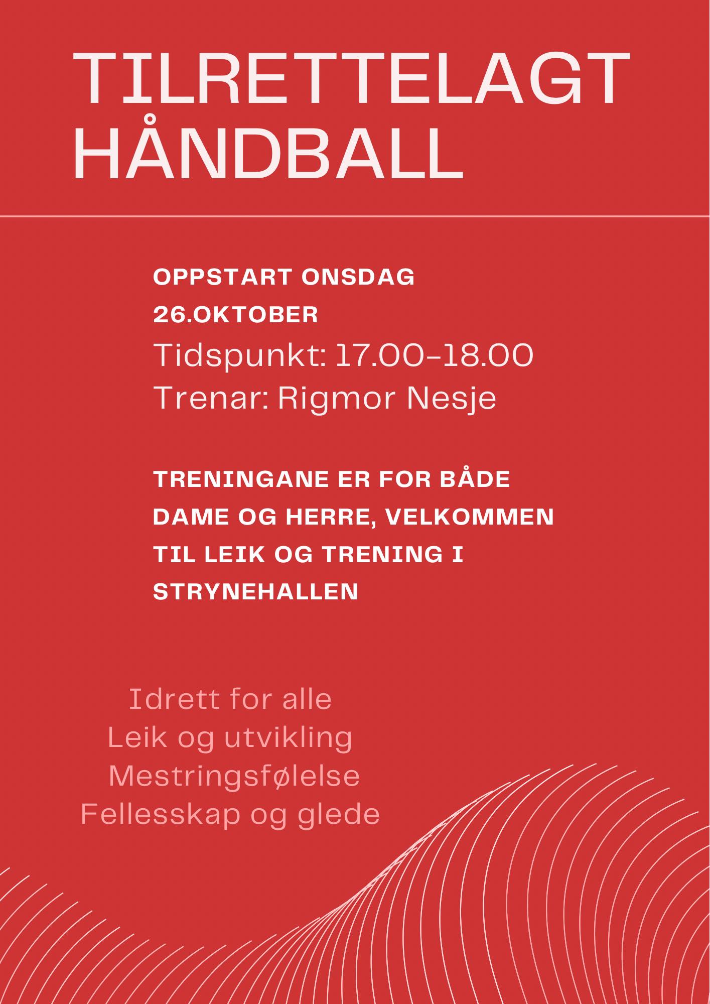 Tilrettelagt handball