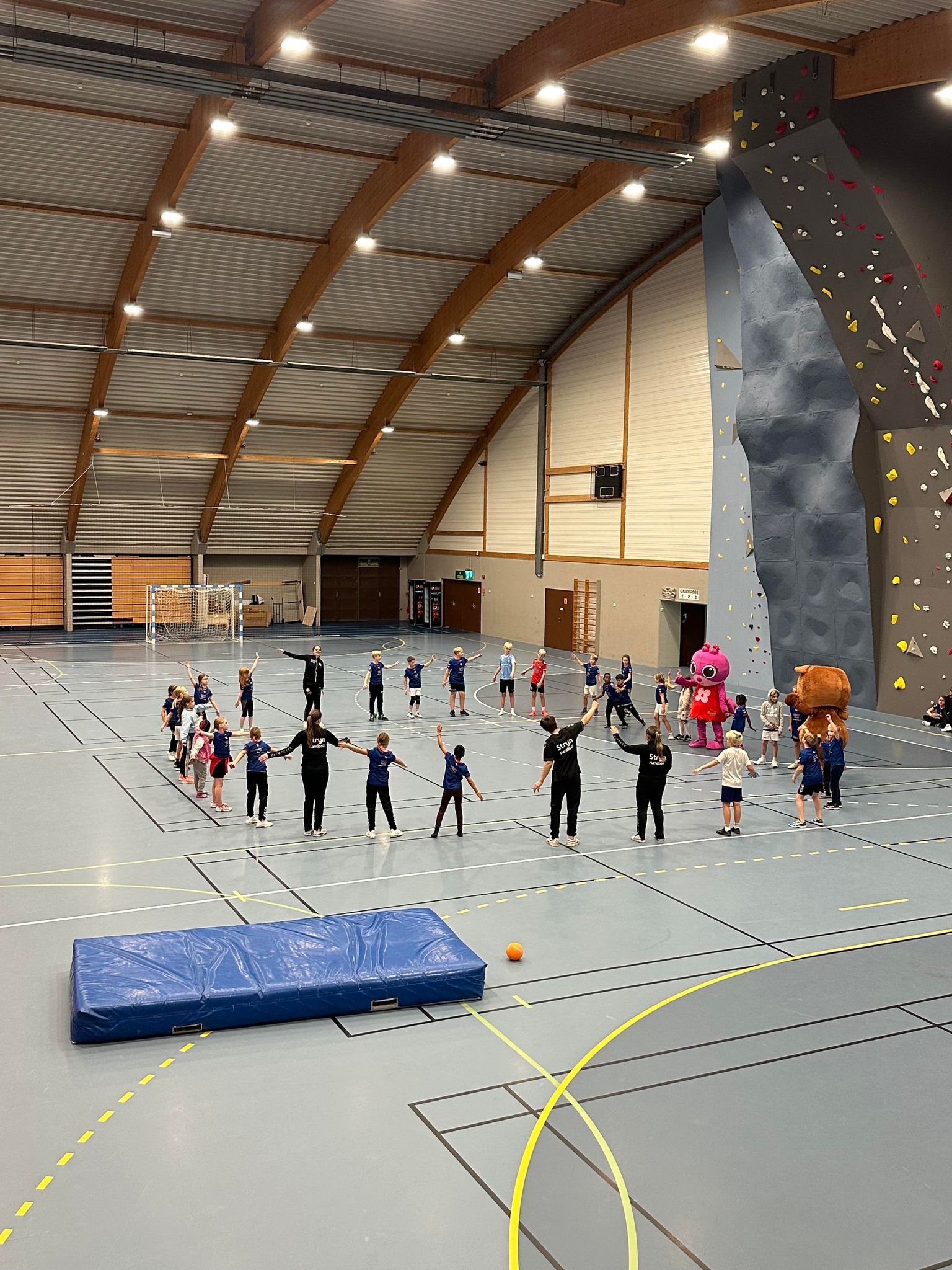 Image for Rema 1000 handballskule - Vinterferien 