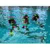 Bassengtrening i Mossehallen