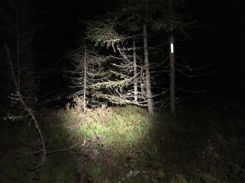 Raumarkarusell nr.14 Natt orientering. Onsdag 15. oktober i Gjedrum.