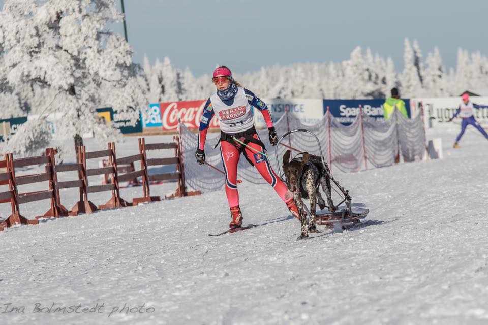 Uttak til VM nordisk stil - informasjon fra toppidrettsutvalget 