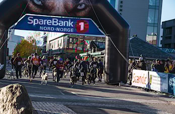 Arrangørmøte barmark