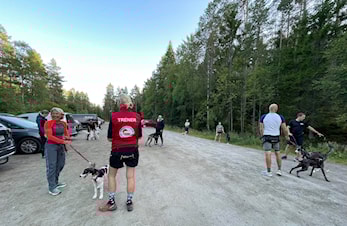 Trenerutdanning/treneroppfølging høst 2024